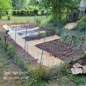 May include: A small, fenced-in garden with multiple raised beds. The beds are filled with dirt and have wood chips as pathways. The garden is surrounded by green grass and trees. The text "Small Veggie Garden" and "Mizz Tizzy's Weeds and Seeds" is visible in the bottom left corner of the image.