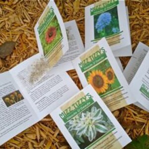 May include: Five seed packets for various flowers, including a red poppy, a blue flower, a sunflower, a white flower, and a packet of mixed seeds. The packets are on a brown straw-like surface.