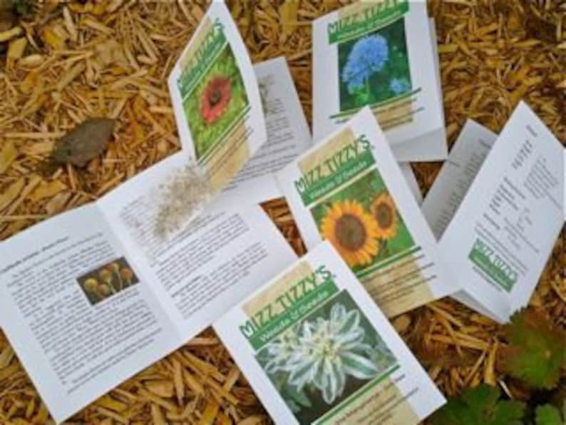 May include: Five seed packets for various flowers, including a red poppy, a blue flower, a sunflower, a white flower, and a packet of mixed seeds. The packets are on a brown straw-like surface.
