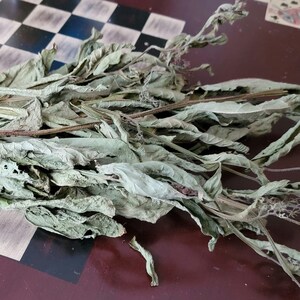 Comfrey - BULK - DRIED LEAVES - Symphytum officinale - 3 oz.