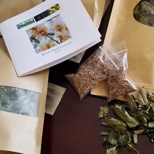 BULK - Witch Hazel - Hamamelis Virginiana - Dried - leaves and bark