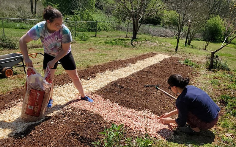 May include: Two people are working on a garden bed. One person is pouring wood chips from a bag onto the ground. The other person is using a rake to spread the wood chips. The garden bed is divided into sections with different types of mulch.