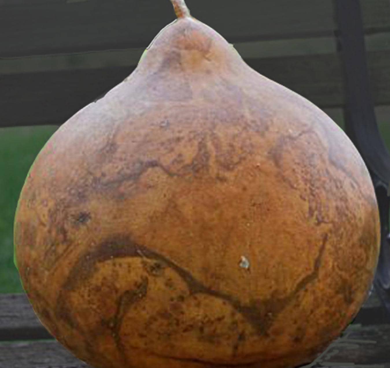 Lot De 20 Gourdes En Calebasse Naturelle - Décoration Bricolage Artisanat