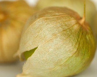 Tomatillo - Vert