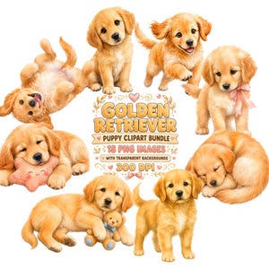 May include: A digital clipart bundle featuring eight illustrations of golden retriever puppies in various poses, including playing, sleeping, and holding toys, with the text GOLDEN RETRIEVER PUPPY CLIPART BUNDLE 18 PNG IMAGES WITH TRANSPARENT BACKGROUNDS 300 DPI.