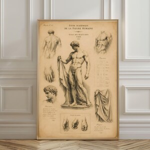 Op de afbeelding: Een kunstprint in vintage-stijl op verouderd papier met de titel Étude Académique de la Figure Humaine. De print toont anatomische schetsen, waaronder een centrale staande figuur, een torso, een hoofd, handen en gedrapeerde stof in zwarte inkt op een beige achtergrond.