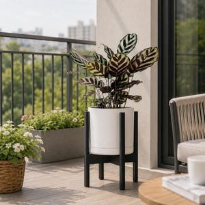 8 Inch Terracotta Planter with Natural Wood Stand, Modern Mid Century Indoor Plant Pot