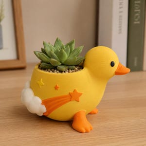 Quirky Comet Duck 3D Printed Planter Pot - Hand Painted Succulent Pot