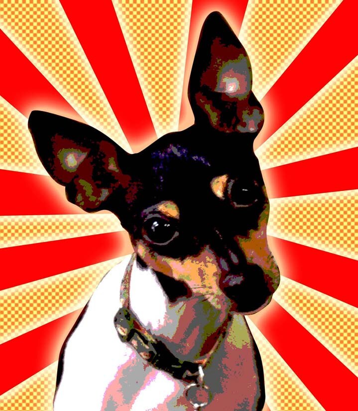 Custom Pet Portrait Pop Art 11 x 14 | Etsy