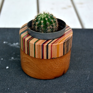 Recycled skateboard planter, cactus pot, cactus planter, unique piece of art