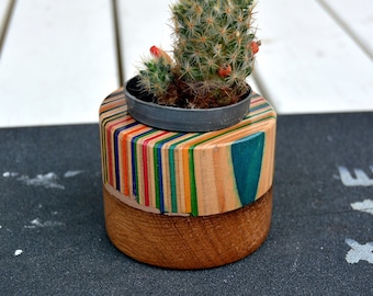 Recycled skateboard planter, cactus pot, cactus planter, unique piece of art