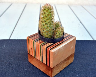 Recycled skateboard planter, cactus pot, cactus planter, unique piece of art 80x80mm