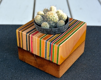 Recycled skateboard planter, cactus pot, cactus planter, unique piece of art 80x80mm
