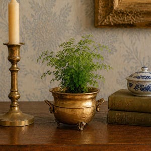May include: A brass candlestick with a cream candle, a small brass planter with two handles and three feet containing a green fern, and a white lidded bowl with blue floral patterns resting on two stacked green books.