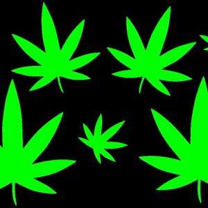 Może przedstawiać: Czarne tło z siedmioma zielonymi sylwetkami liści marihuany. Liście są ułożone w losowym wzorze.