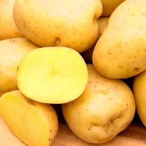 May include: A collection of whole and halved yellow potatoes with smooth, light tan skins and bright yellow interiors. The potatoes are oval-shaped with small, scattered dark spots on the surface, showing a firm, dense texture throughout.