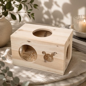 May include: A rectangular light-colored wooden pet hideout featuring a large circular opening on the top, a circular side entrance, a smaller mouse-shaped cutout on the front panel, and an arched doorway on the right side, with wood shavings inside.