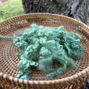 blue faced Leicester wool - 7/8 oz