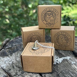 以下が含まれることがあります： 小さな尖った帽子ペンダントが付いたシルバーのネックレスが、茶色の箱の上に置かれています。 箱にはフクロウと「DELIVERED BY OWL POST」の文字が刻印されています。 近くには同様の箱がいくつか積み重ねられています。