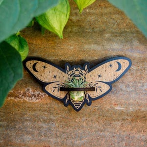 May include: A wooden moth-shaped air plant holder with a black outline and a natural wood grain center. The design includes crescent moons and stars. The holder contains a small air plant. The background is a textured, earthy surface.