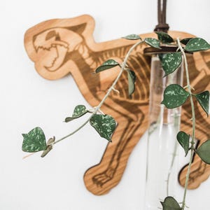 May include: A wooden cutout of a skeleton animal with a glass test tube hanging from it. A green plant with variegated leaves is growing in the test tube.