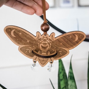 Cicada Airplant Holder Tillandsia Holder Hanging Indoor Planter Curiosity Gothic Witchy Home Decor Entomology Plant Lover Bug Collector Gift