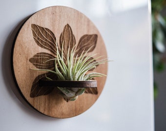 Flower Airplant Magnet Round Floral Decor Housewarming Gift Refrigerator Magnet Plant Houseplant Planter Hanging Planter Tillandsia Holder