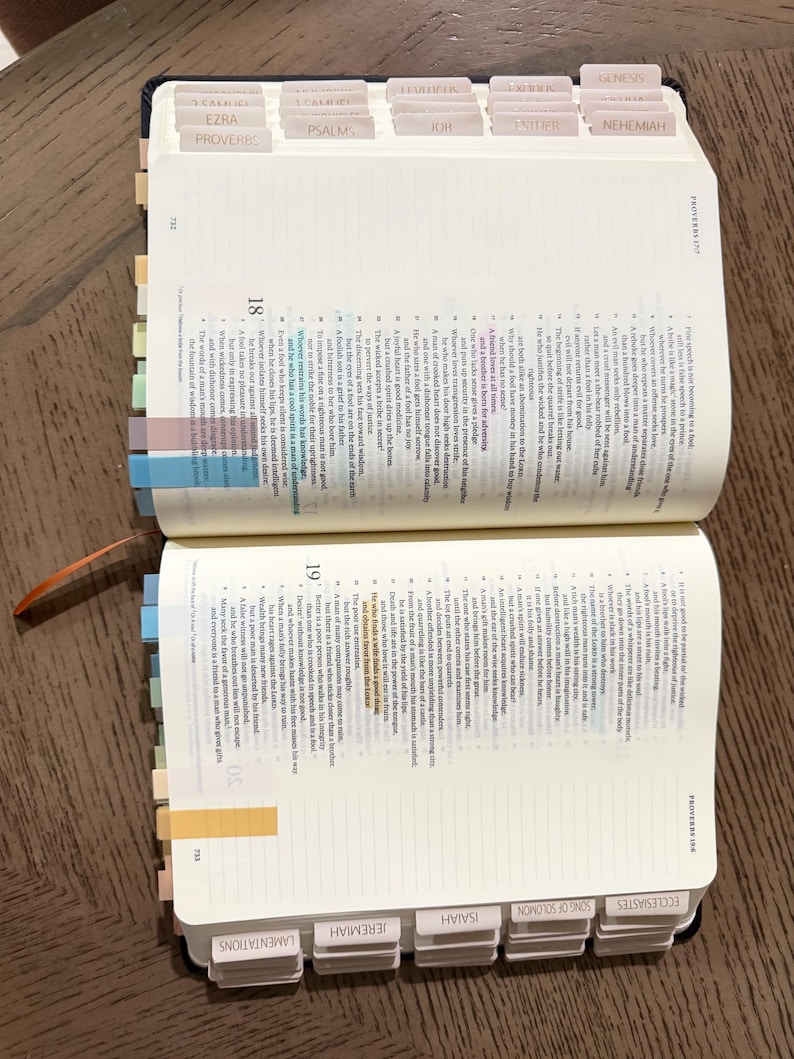 Loaded Bible for Husbands and Fathers: Tabbed Study Edition, unique Gifts for husband, Men’s Bible study tools image 5