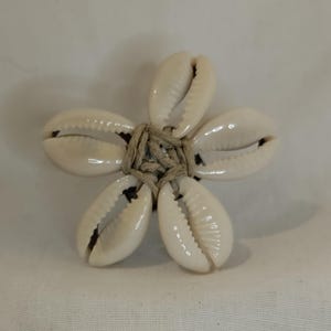 May include: A flower-shaped ring made from five white seashells, each with a natural, glossy finish. The shells are arranged around a central knot of beige twine, creating a unique, beach-inspired accessory. The ring is set against a plain white background.