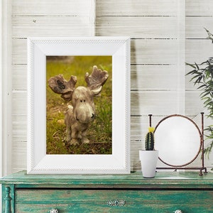 Moose Statue Photograph Fine Art Photography image 1