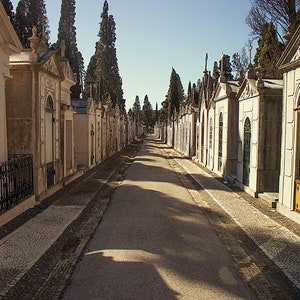 Cimiterio dos Prazeres Photography Cemetery Photography, Travel Europe, Portugal, Lisboa, Lisbon gothic wall art and canvas image 1