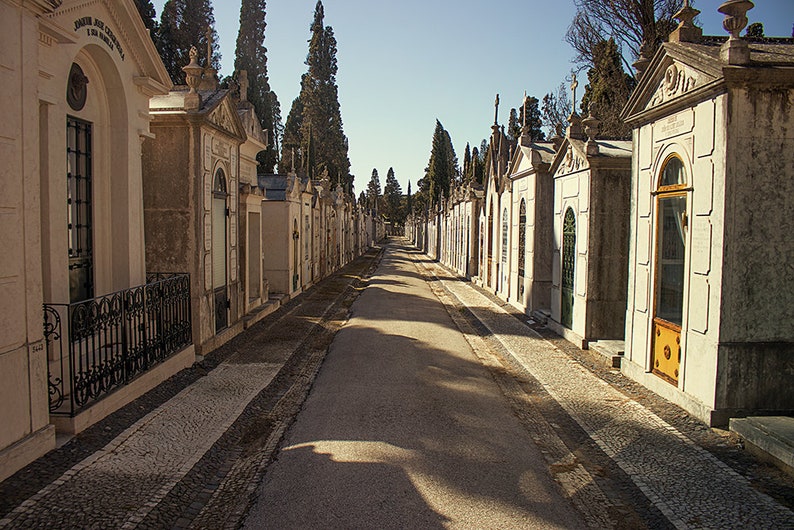 Cimiterio dos Prazeres Photography Cemetery Photography, Travel Europe, Portugal, Lisboa, Lisbon gothic wall art and canvas image 1