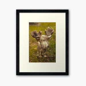 Moose Statue Photograph Fine Art Photography image 4