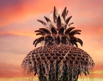 Charleston Pineapple Fountain Photograph - fine art photography