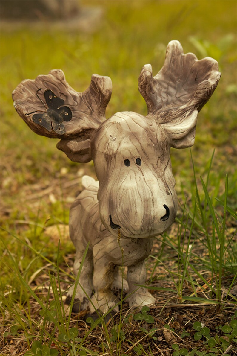 Moose Statue Photograph Fine Art Photography image 2