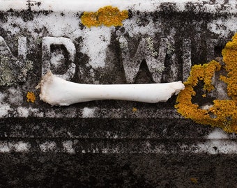 Bones on a grave - fine art cemetery photography