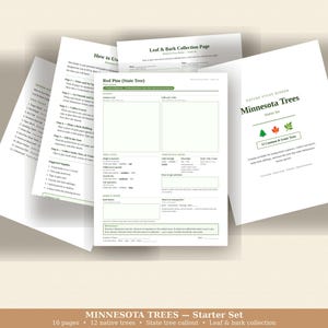 Diário de Identificação de Árvores de Minnesota, Imprimível, PDF para Estudo da Natureza, Atividade para Educação Domiciliar, Livro de Coleta de Folhas