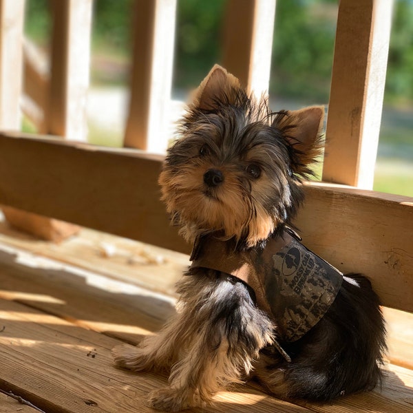 Camouflage harness vest for smaller dogs