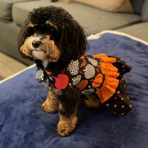 Fall pumpkin Halloween dog dress