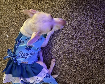 Kansas City Royals dress for bigger pets