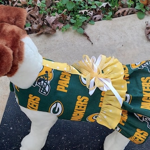 Ready to ship Green Bay dog dress