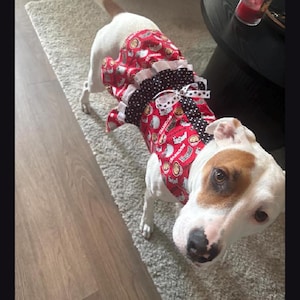 May include: A dog wearing a red sleeveless dress featuring a repeating pattern of brown and white cartoon nut characters. The dress has a black and white polka dot ruffled hem, a matching polka dot trim, and a small white bow at the center.