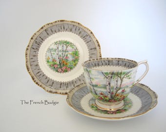 Tazza da tè e piattino vintage Royal Albert Silver Birch TRIO Made in ENGLAND