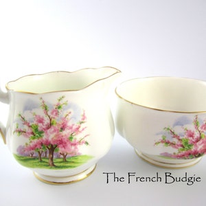 GROSSES Royal Albert Blossom Time Sahne und Zucker Set Made in ENGLAND