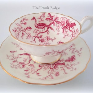 Coalport Vintage Teacup and saucer Red Birds and plants  Tea Cup