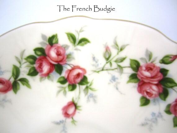 素敵なセット】エインズレイ美しい薔薇 AYNSLEY エインズレイ