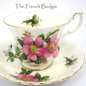 Royal Albert pink "Prairie Rose Vintage Teacup and Saucer set ENGLAND Tea Cup