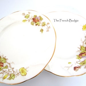 Set of Two Genoa   7&quot; Yellow Dessert / Salad Plates with yellow flowers Made in ENGLAND
