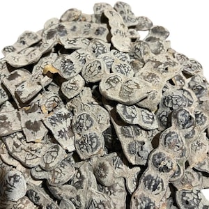 May include: A large collection of dried, light grey, segmented seed pods. Each pod features a textured, flattened surface with dark, irregular, vein-like markings throughout. The pods are irregularly shaped, varying in length and width, and are piled together in a dense, overlapping cluster against a plain white background.