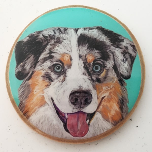 Australian Shepherd Merle Aussie Dog Original Art Pin or Magnet